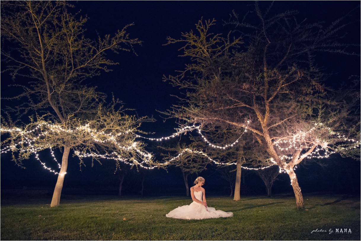 Zimbabwe Wedding Photographer