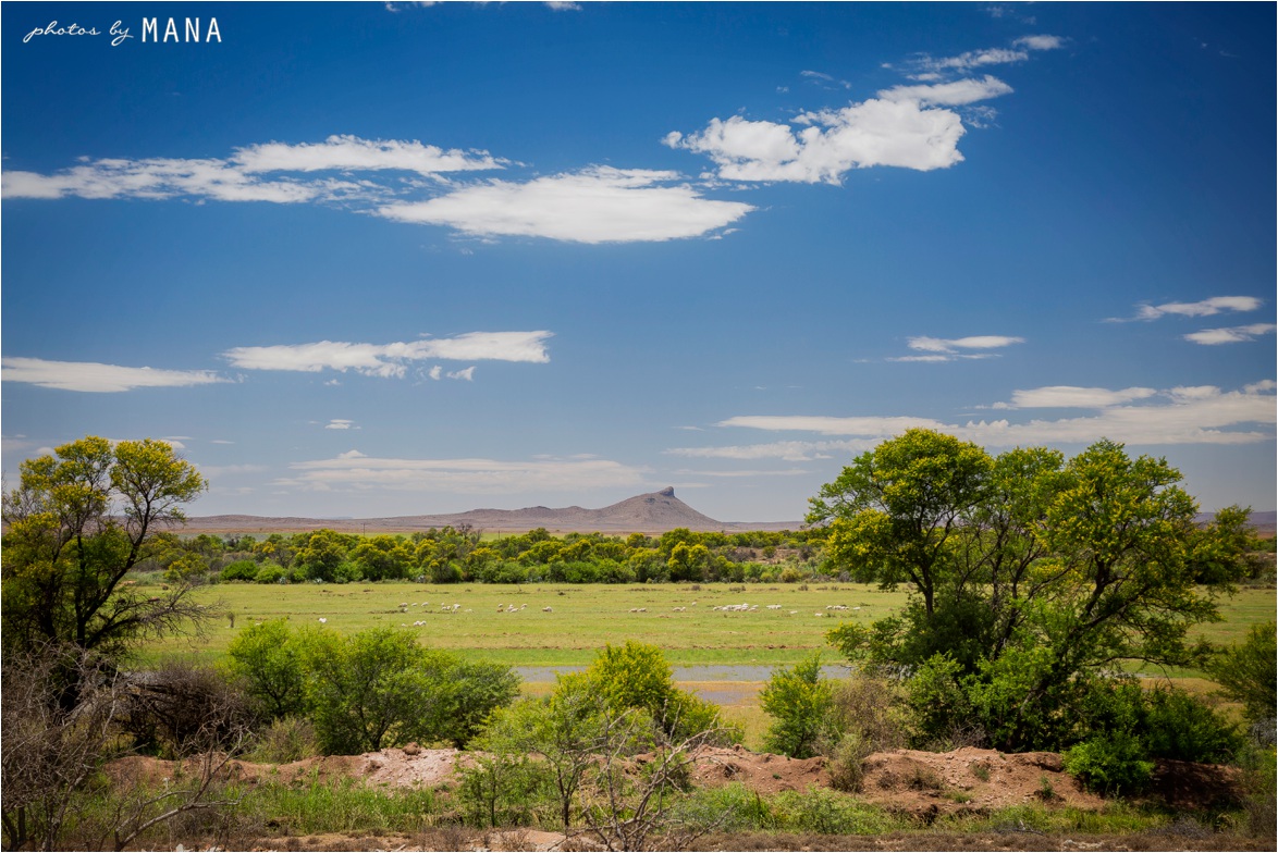 Alex and Murray's Karoo farm wedding in South Africa's Eastern Cape.