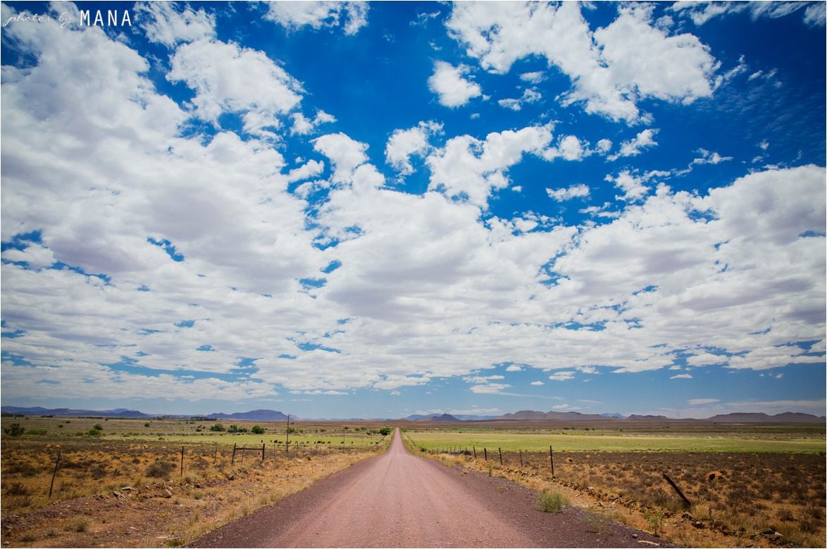 Alex and Murray's Karoo farm wedding in South Africa's Eastern Cape.