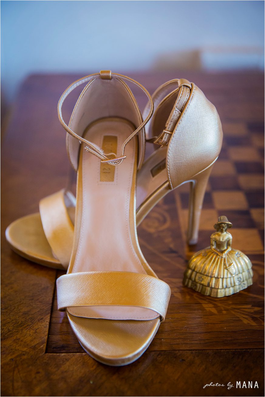 Alex and Murray's Karoo farm wedding in South Africa's Eastern Cape.