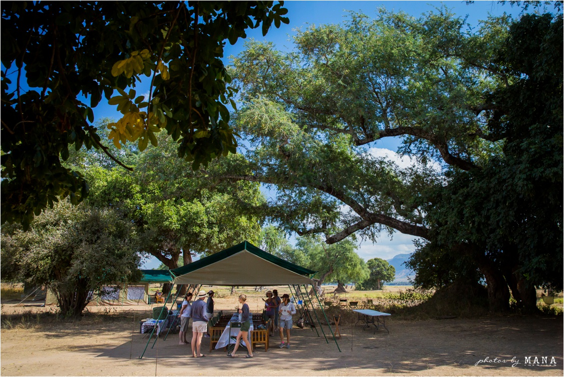 Candice and Reilly's Mana Pools bush wedding, Zimbabwe, Africa.