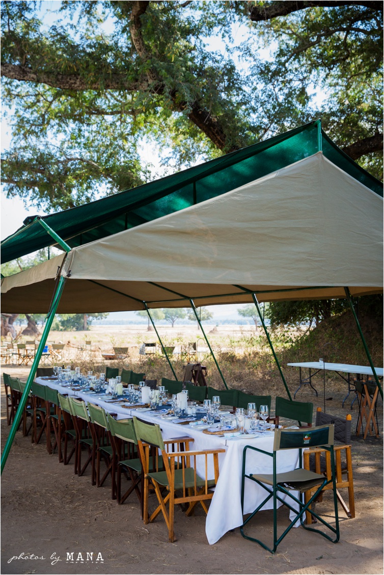 Candice and Reilly's Mana Pools bush wedding, Zimbabwe, Africa.