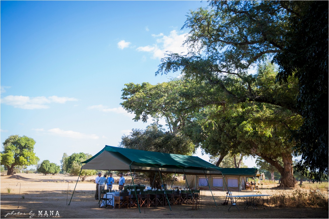 Candice and Reilly's Mana Pools bush wedding, Zimbabwe, Africa.