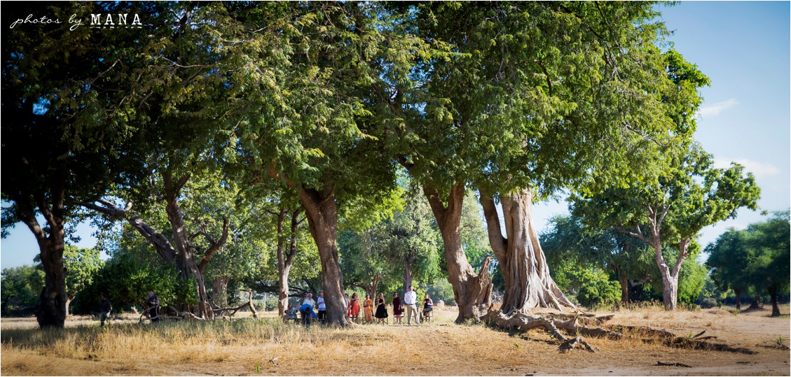 Candice and Reilly's Mana Pools bush wedding, Zimbabwe, Africa.