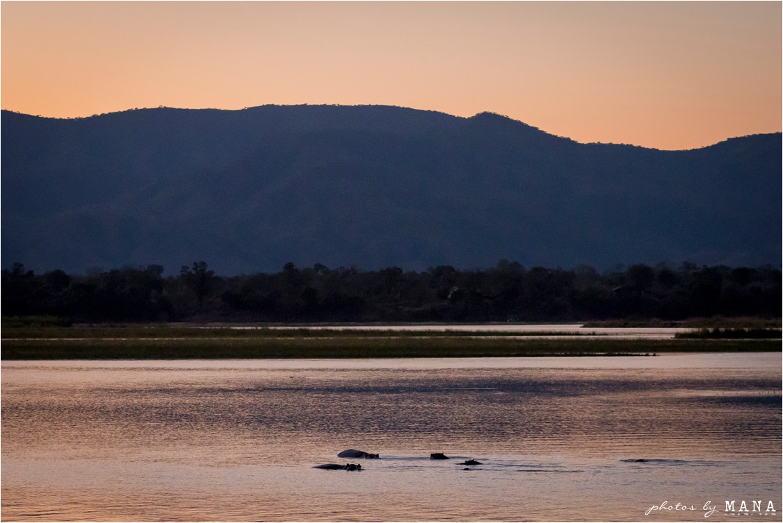 Candice and Reilly's Mana Pools bush wedding, Zimbabwe, Africa.