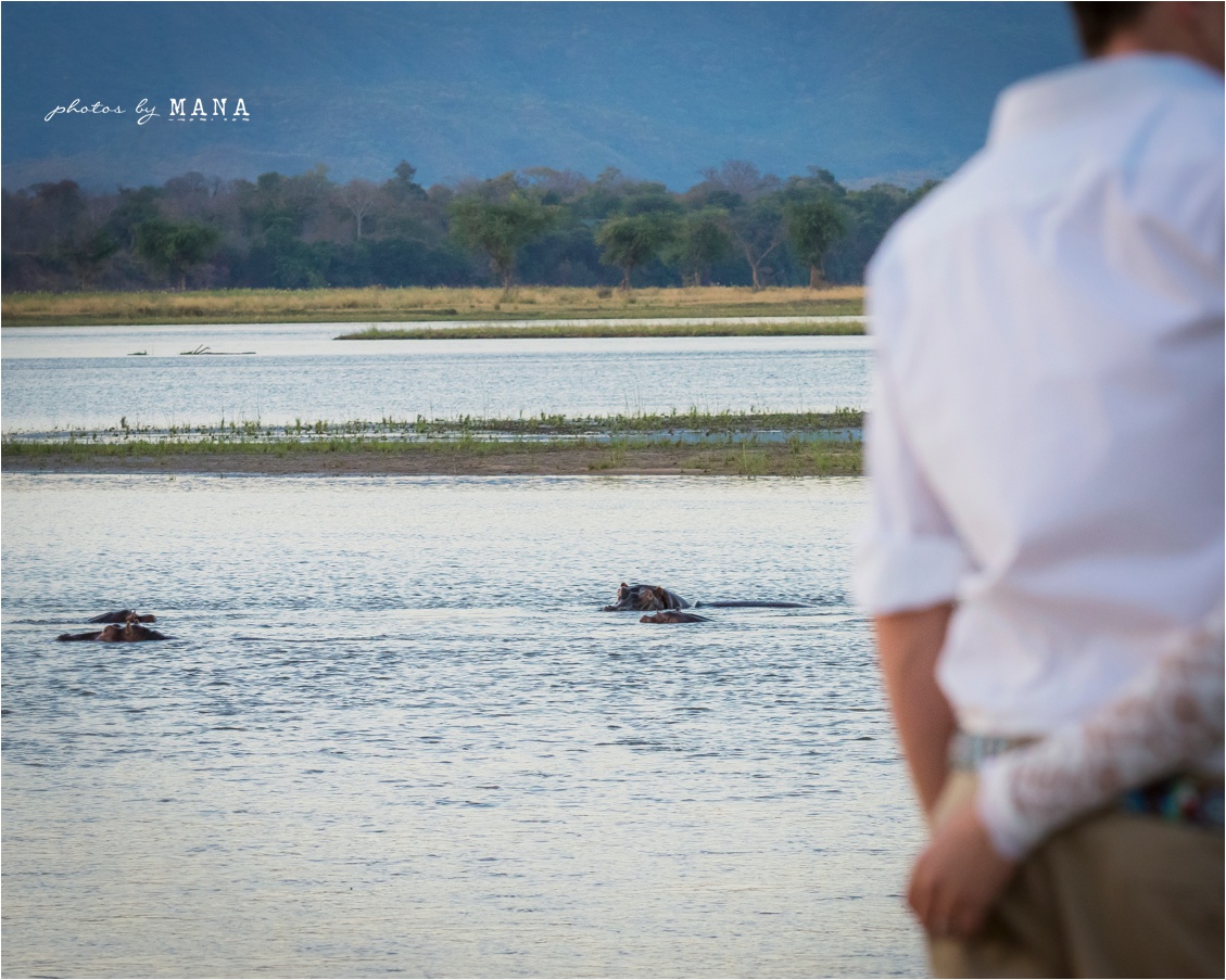 Candice and Reilly's Mana Pools bush wedding, Zimbabwe, Africa.