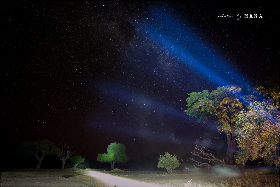 Candice and Reilly's Mana Pools bush wedding, Zimbabwe, Africa.
