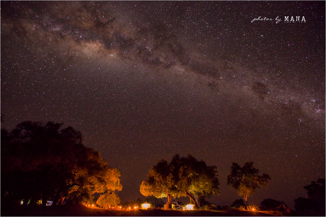 Candice and Reilly's Mana Pools bush wedding, Zimbabwe, Africa.