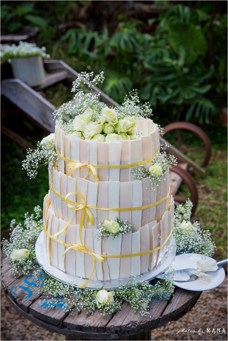Masimba and Danayi's farm wedding in Zimbabwe.