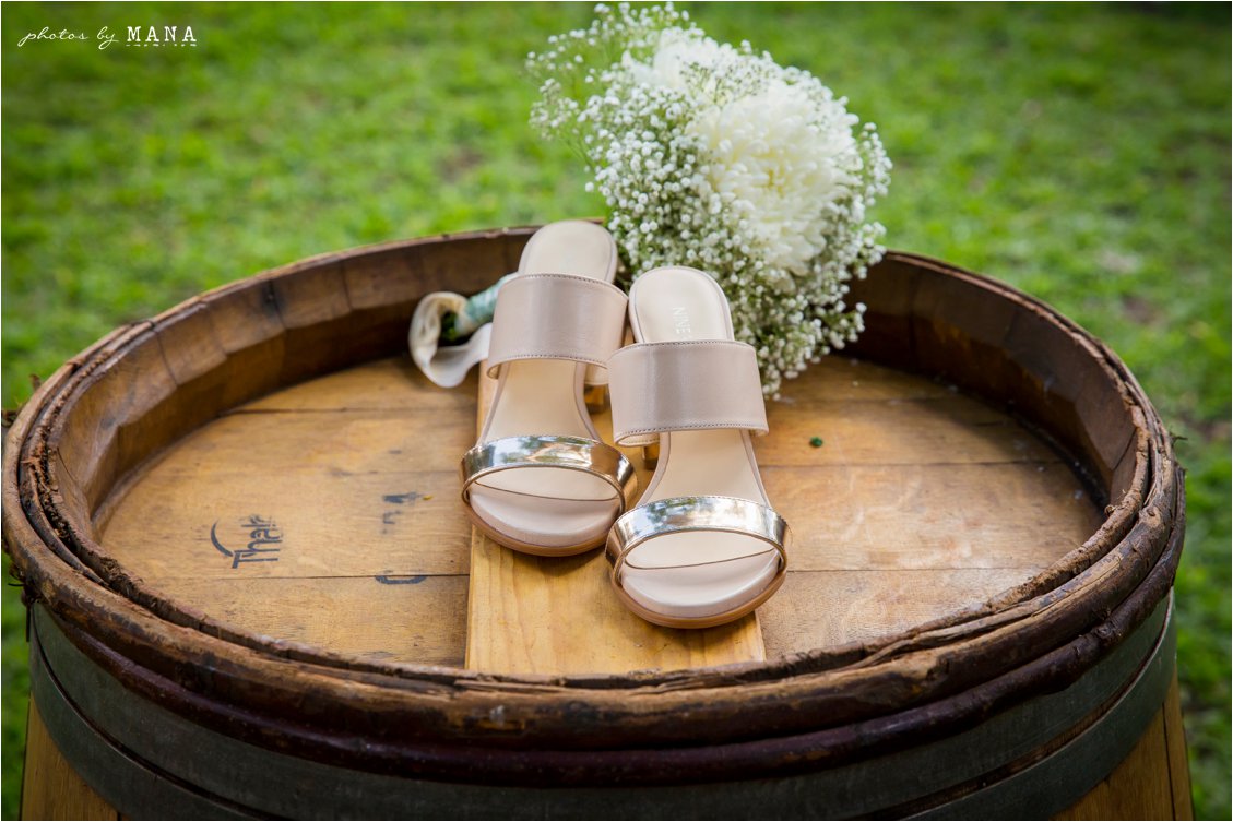 Masimba and Danayi's farm wedding in Zimbabwe.