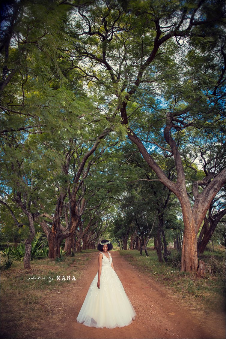 Masimba and Danayi's farm wedding in Zimbabwe.