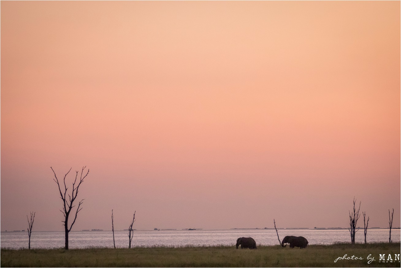 Sarah and Dave's Kariba safari bush wedding, Kariba, Zimbabwe, Africa.