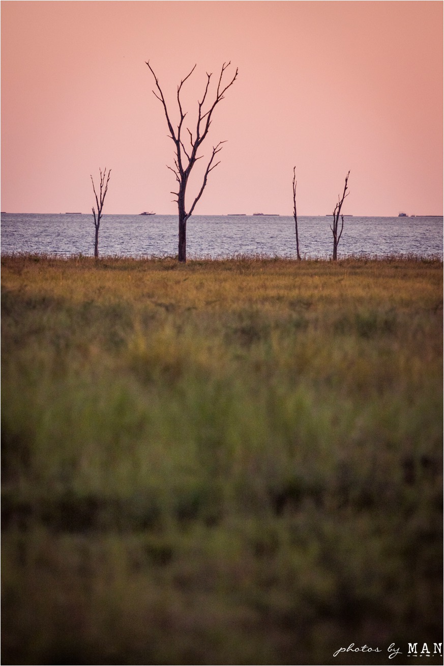 Sarah and Dave's Kariba safari bush wedding, Kariba, Zimbabwe, Africa.
