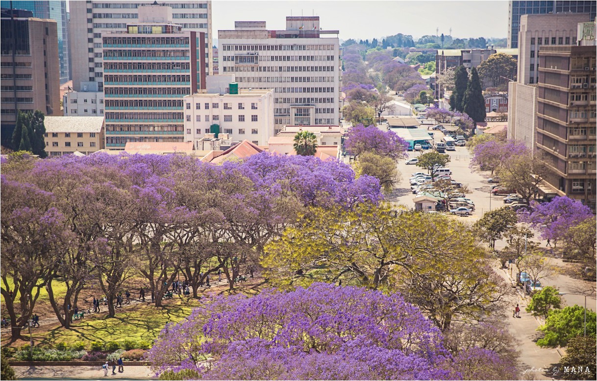 Documentary style wedding photography in Zimbabwe, Africa.