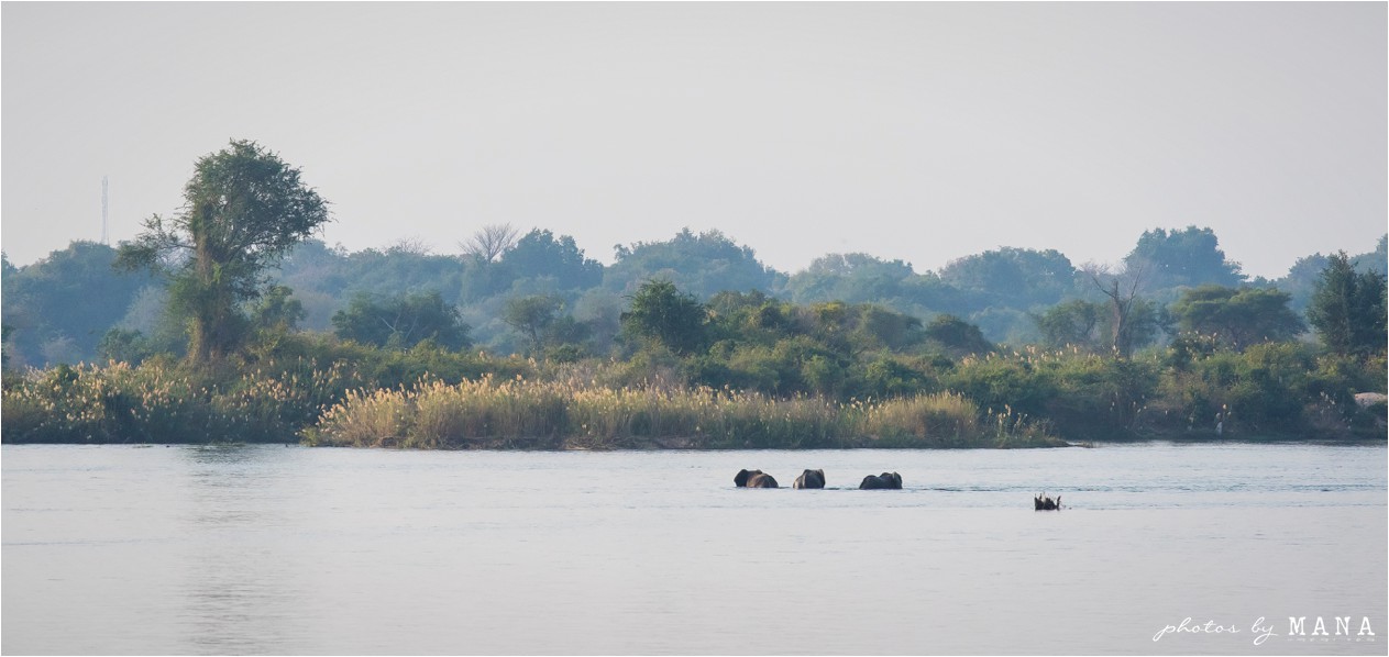 kerry-and-marius-zambezi-wedding-002