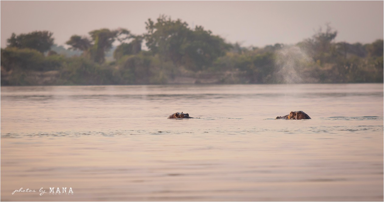 kerry-and-marius-zambezi-wedding-081