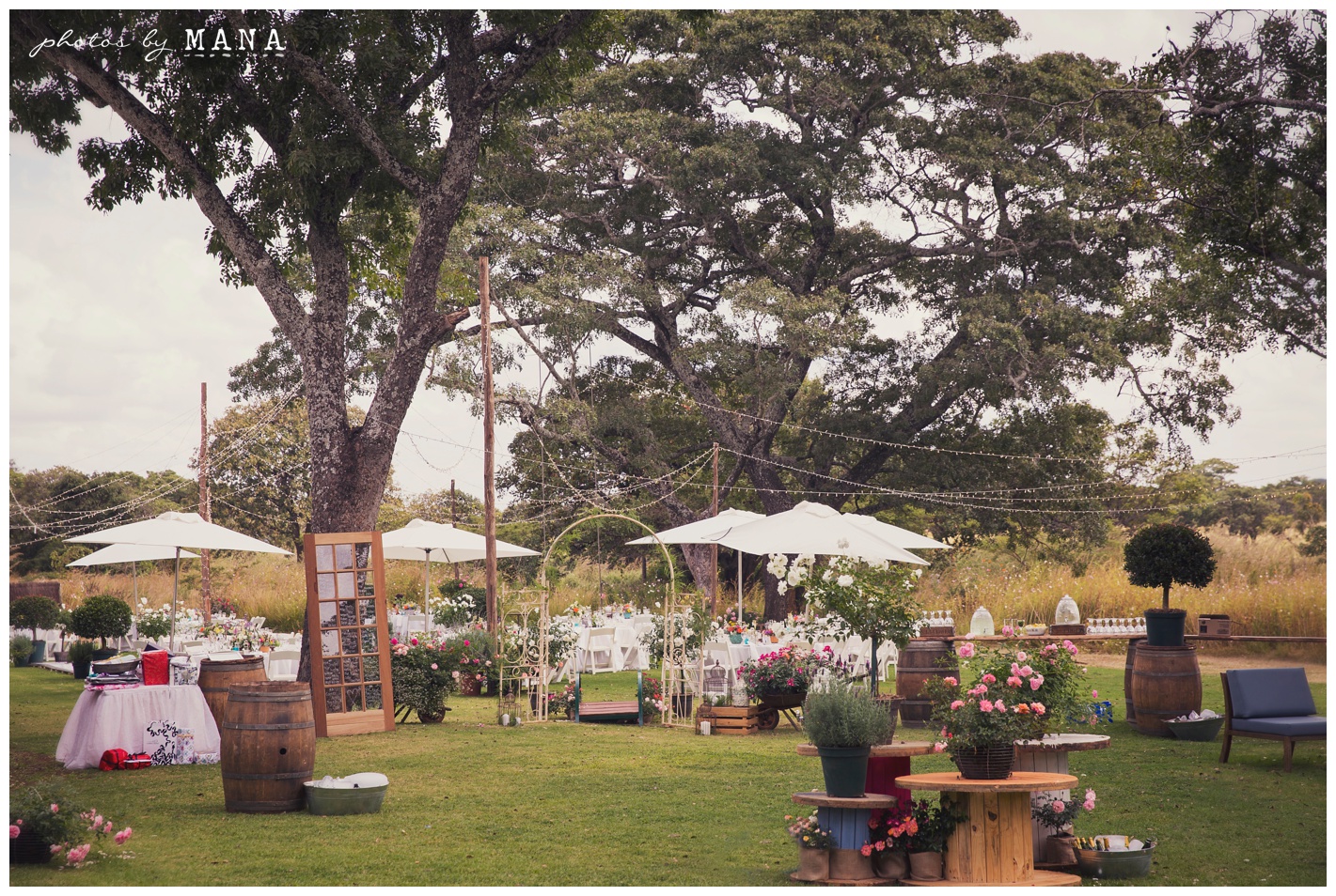 Christy and Daryl Wild Geese Wedding Blog 002