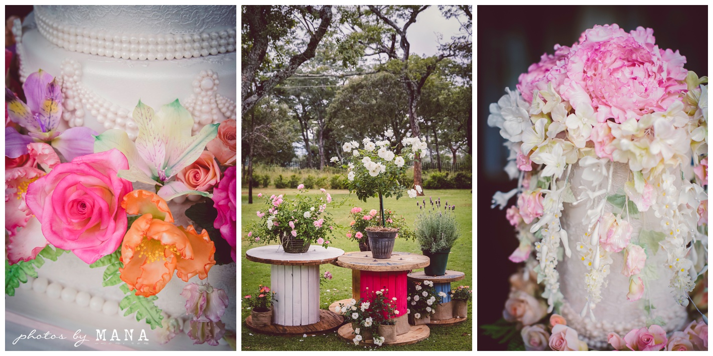 Christy and Daryl Wild Geese Wedding Blog 003