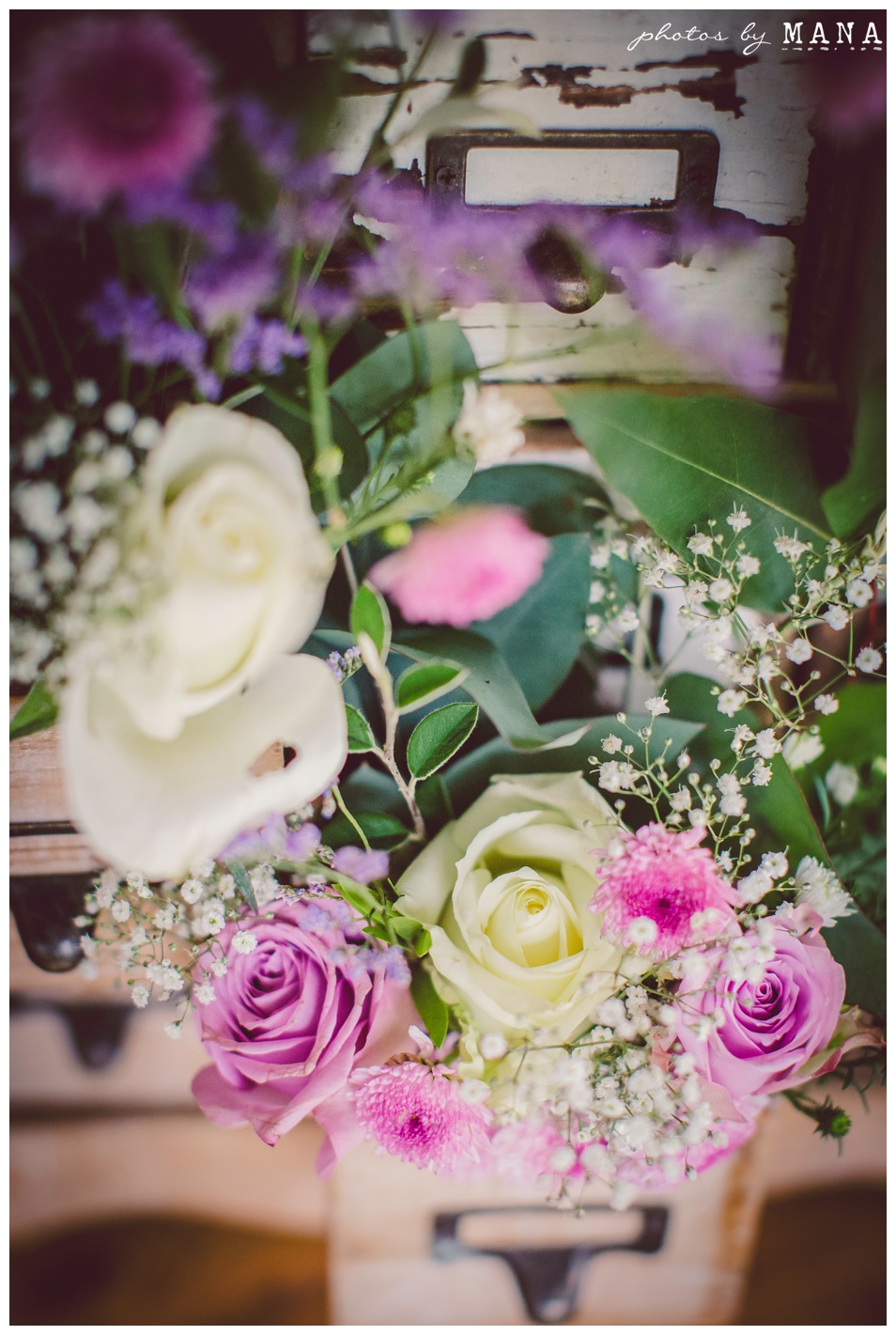 Christy and Daryl Wild Geese Wedding Blog 004
