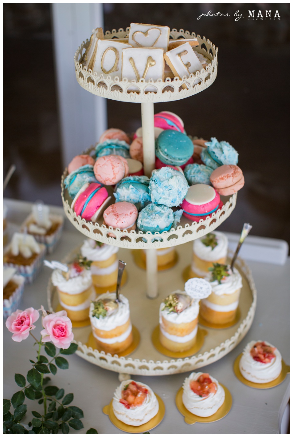 Christy and Daryl Wild Geese Wedding Blog 005