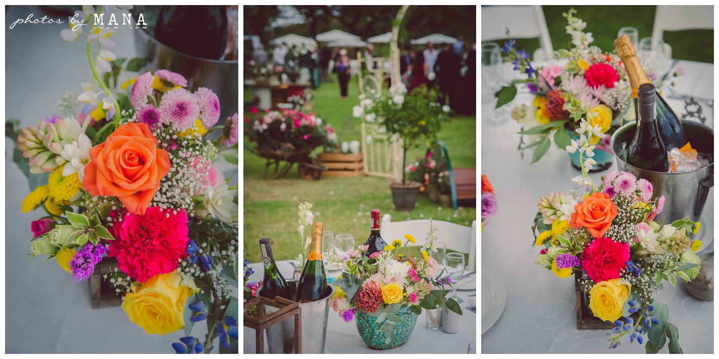 Christy and Daryl Wild Geese Wedding Blog 008
