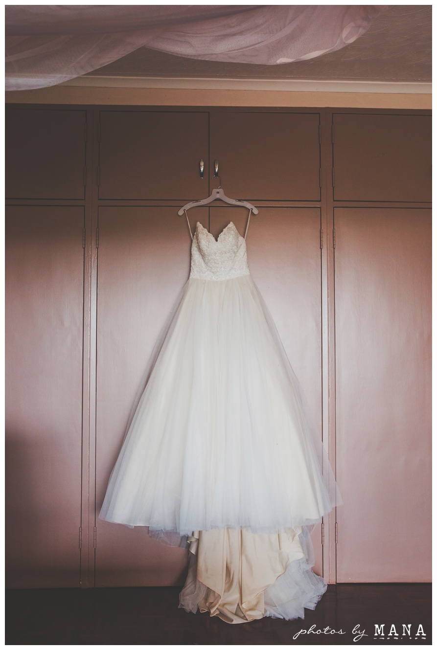 Christy and Daryl Wild Geese Wedding Blog 014