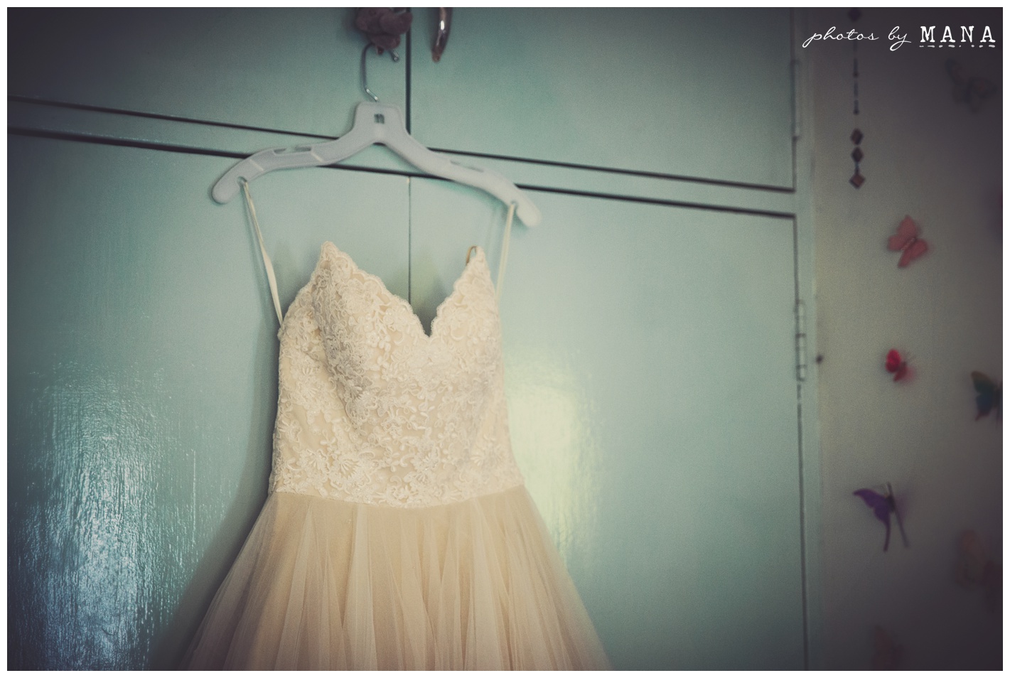Christy and Daryl Wild Geese Wedding Blog 016