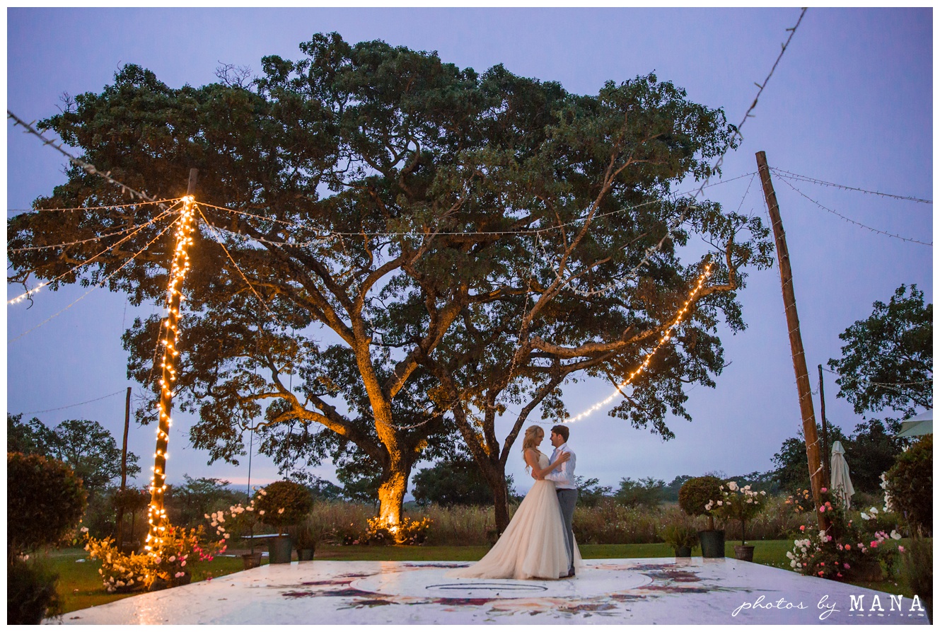 Christy and Daryl Wild Geese Wedding Blog 139