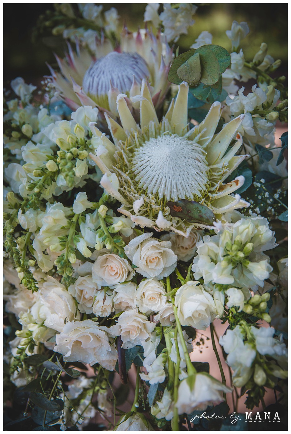 Photos by Mana,safari wedding,bush wedding,zambian wedding photographer,safari wedding photographer,African destination wedding,