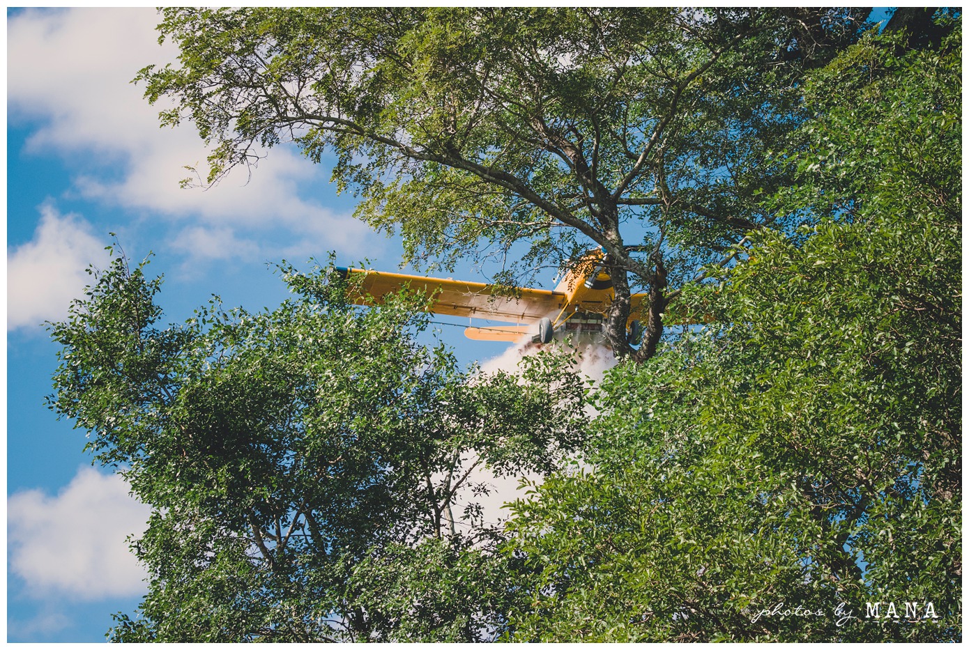 Photos by Mana,safari wedding,bush wedding,zambian wedding photographer,safari wedding photographer,African destination wedding,