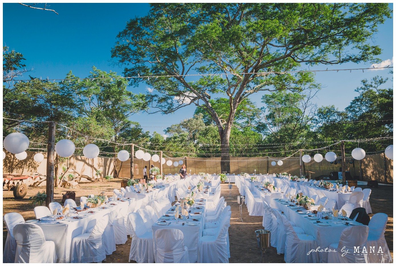 Photos by Mana,safari wedding,bush wedding,zambian wedding photographer,safari wedding photographer,African destination wedding,