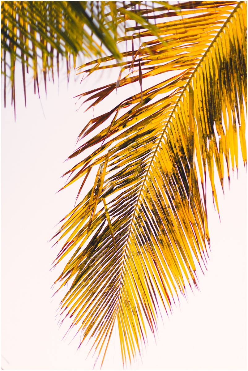 Leandi and Kevin Mozambique Beach Wedding Blog 004