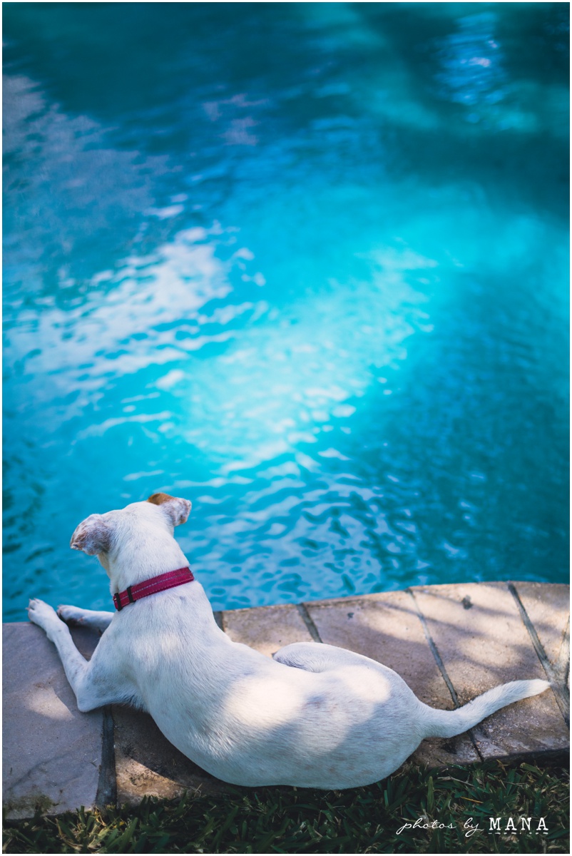 Leandi and Kevin Mozambique Beach Wedding Blog 026