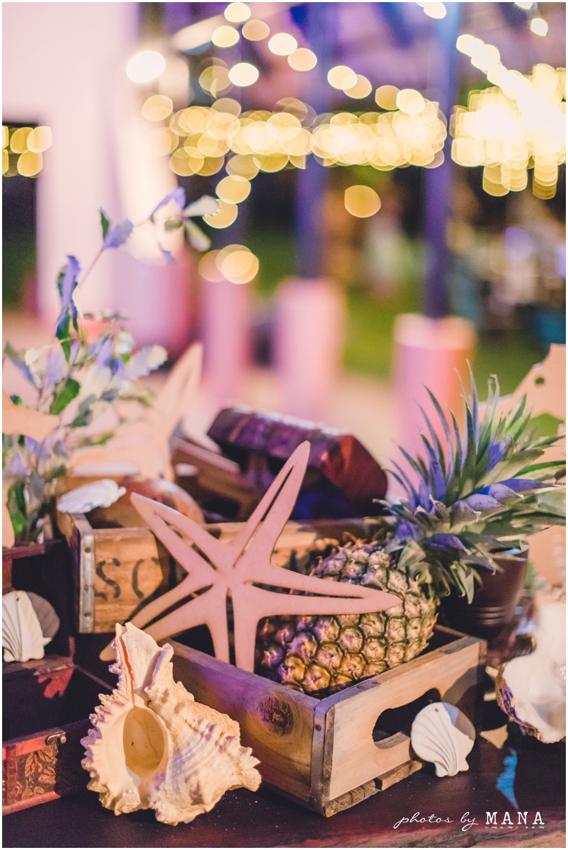 Leandi and Kevin Mozambique Beach Wedding Blog 097