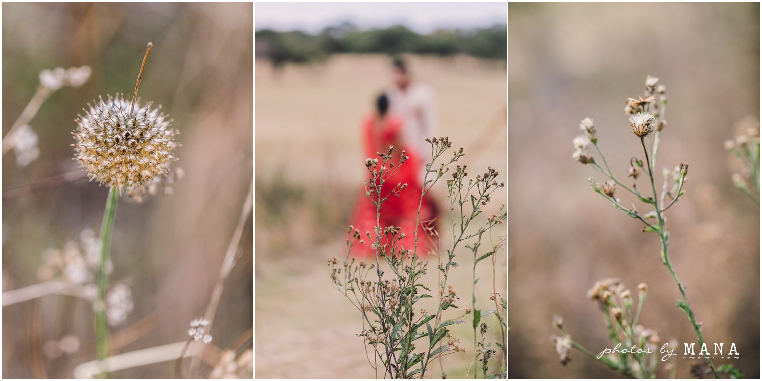 Prateesha and Bhaven 04 071