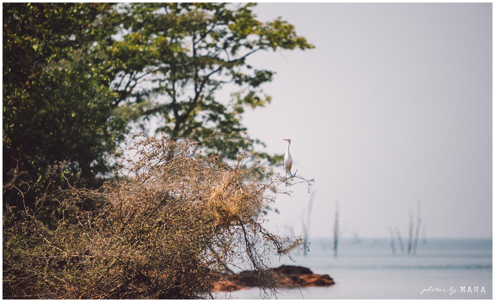 African Safari Lake Kariba Wedding 001