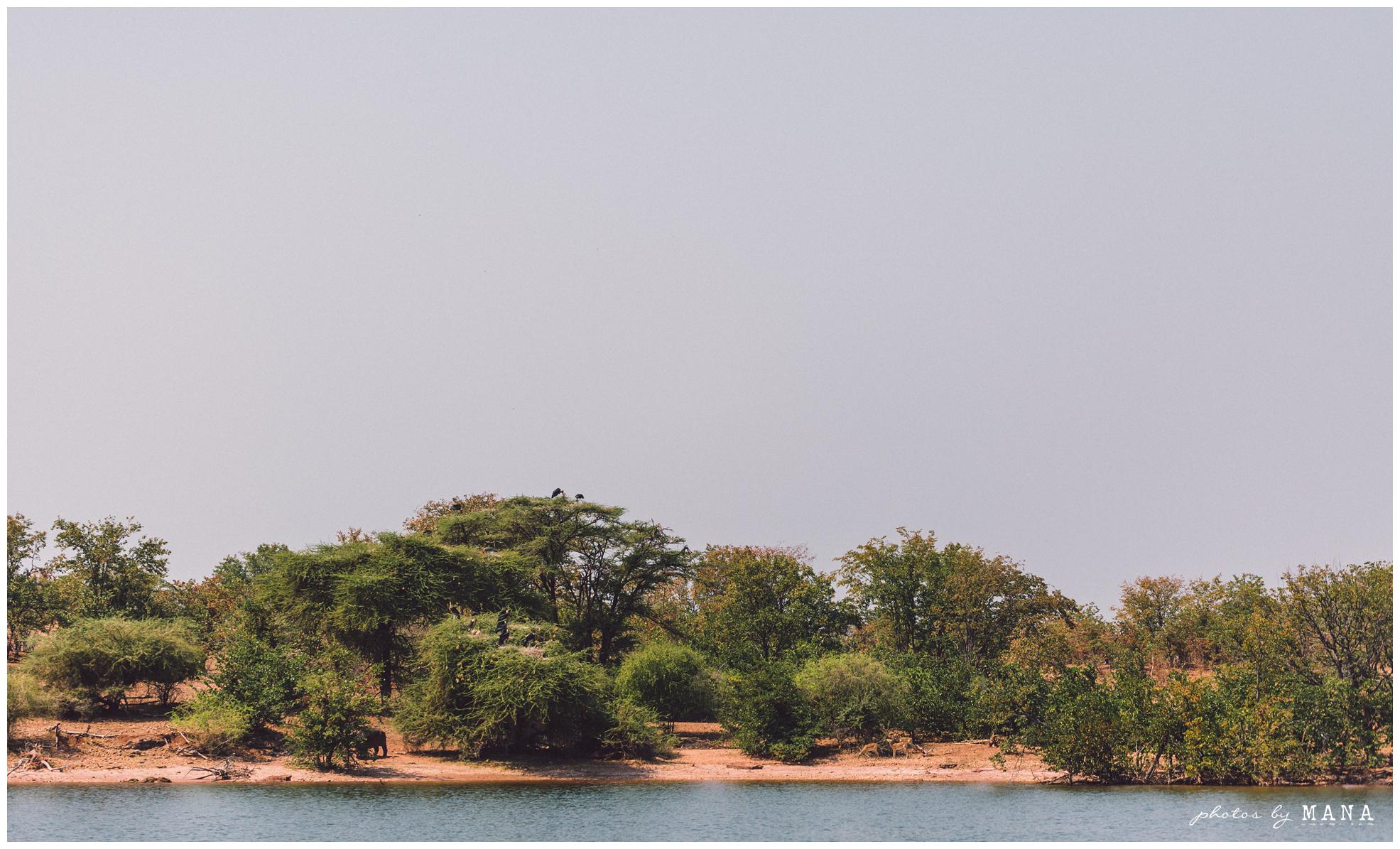 African Safari Lake Kariba Wedding 002