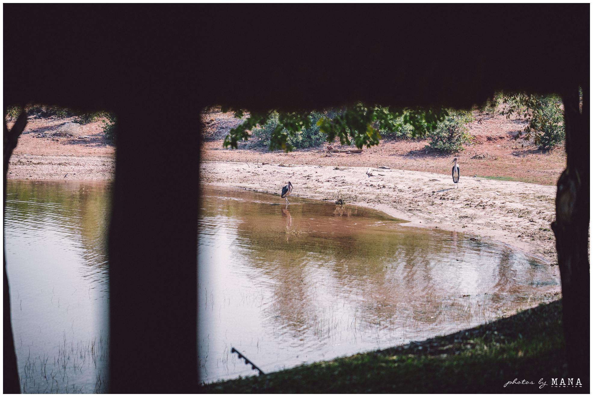 African Safari Lake Kariba Wedding 024