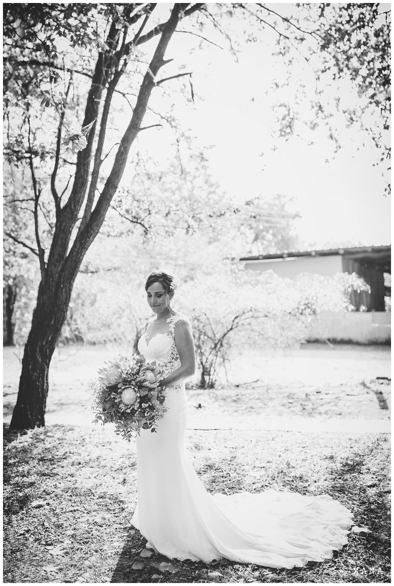 African Safari Lake Kariba Wedding 033