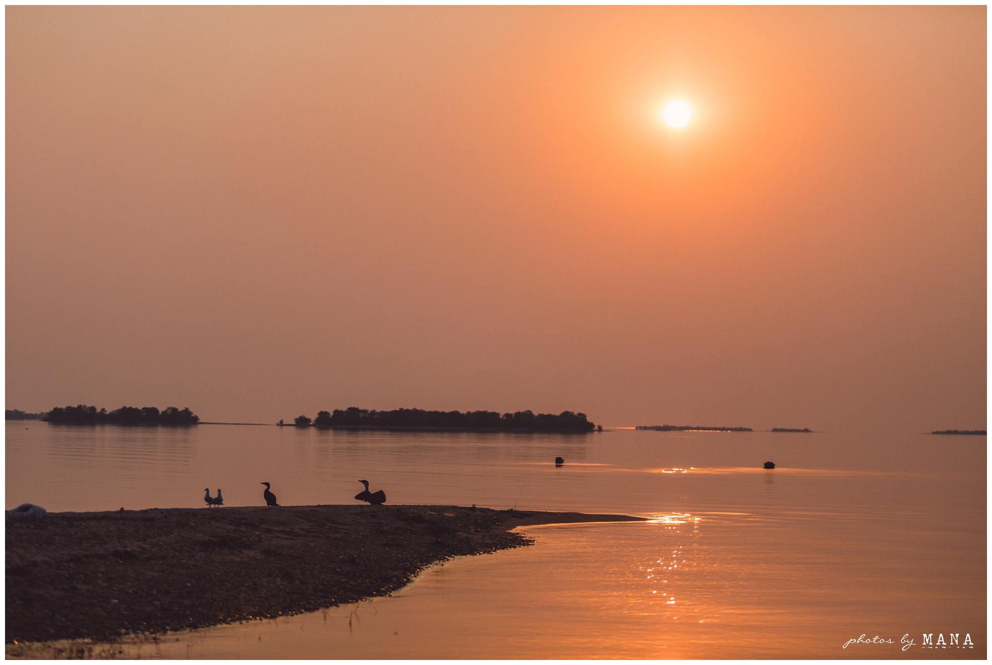 African Safari Lake Kariba Wedding 060