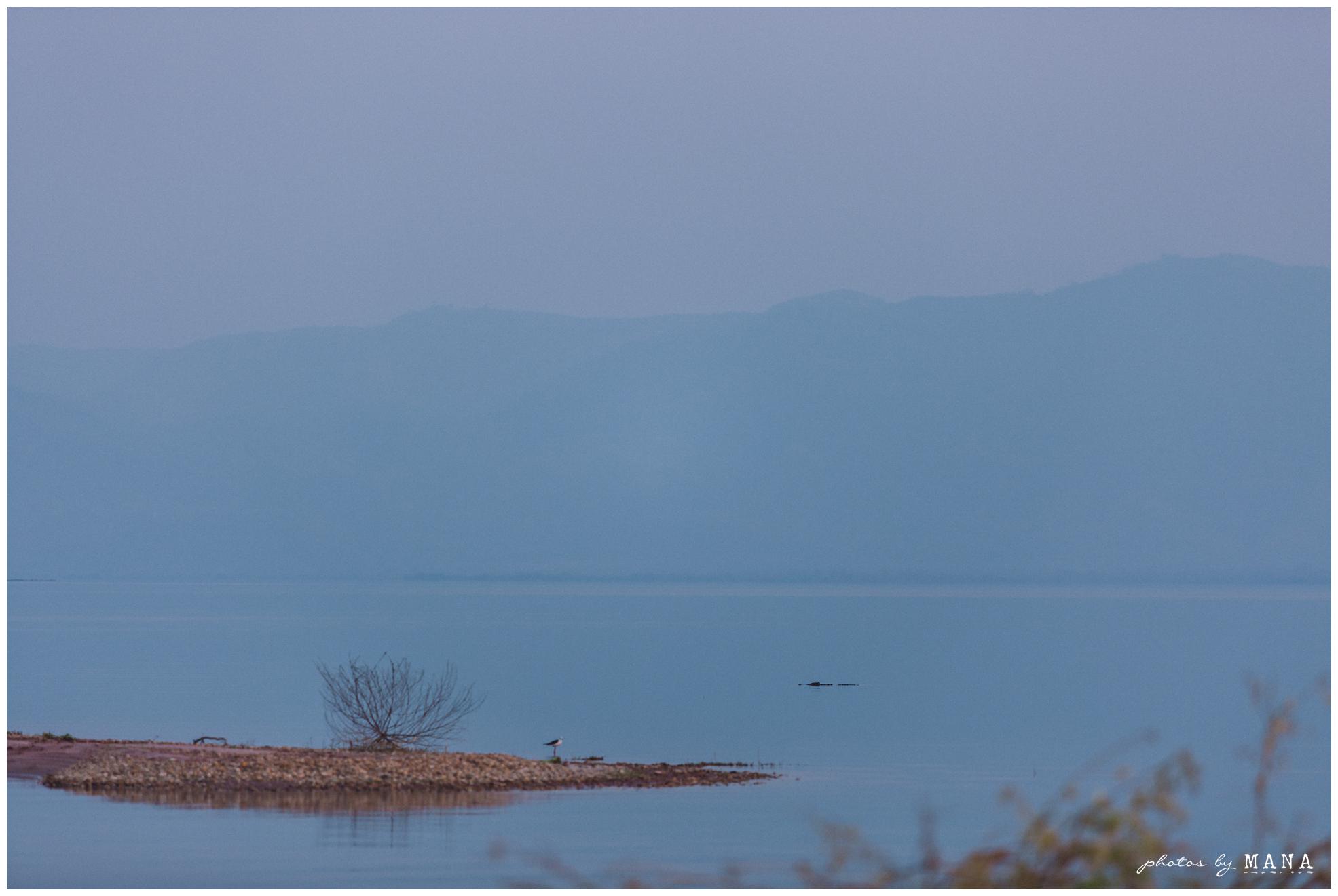 African Safari Lake Kariba Wedding 068