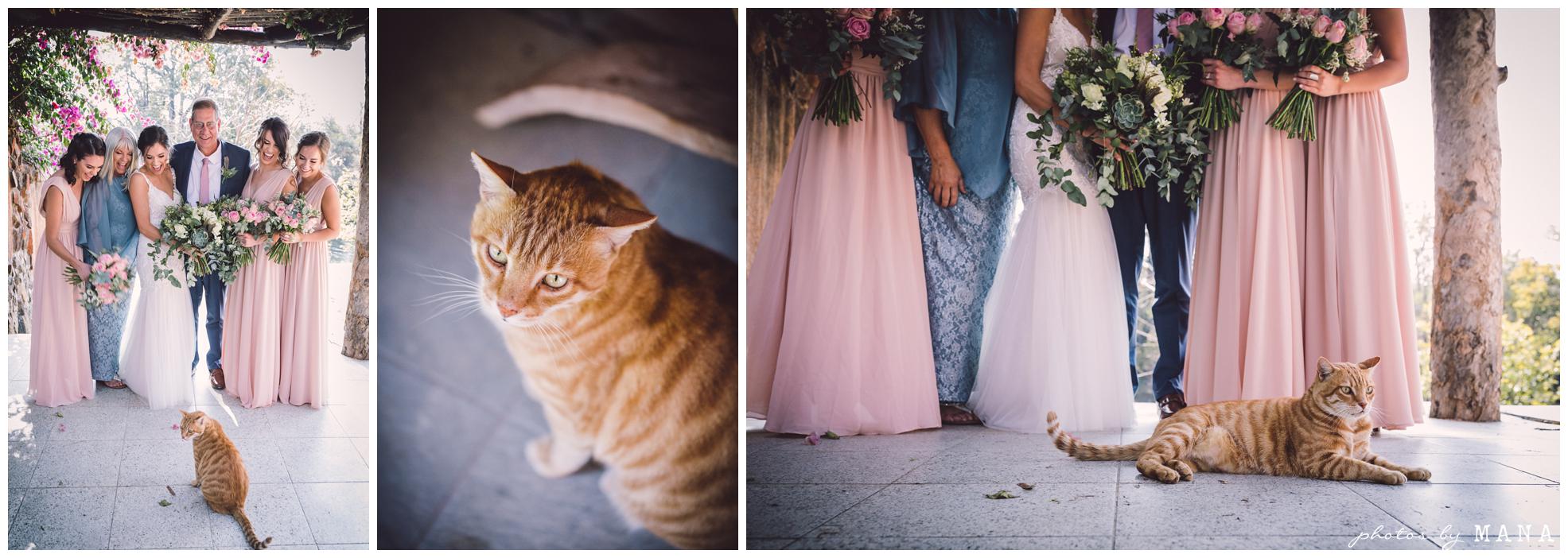 Paige and Judah’s African destination safari bush wedding at Chengeta in Zimbabwe.