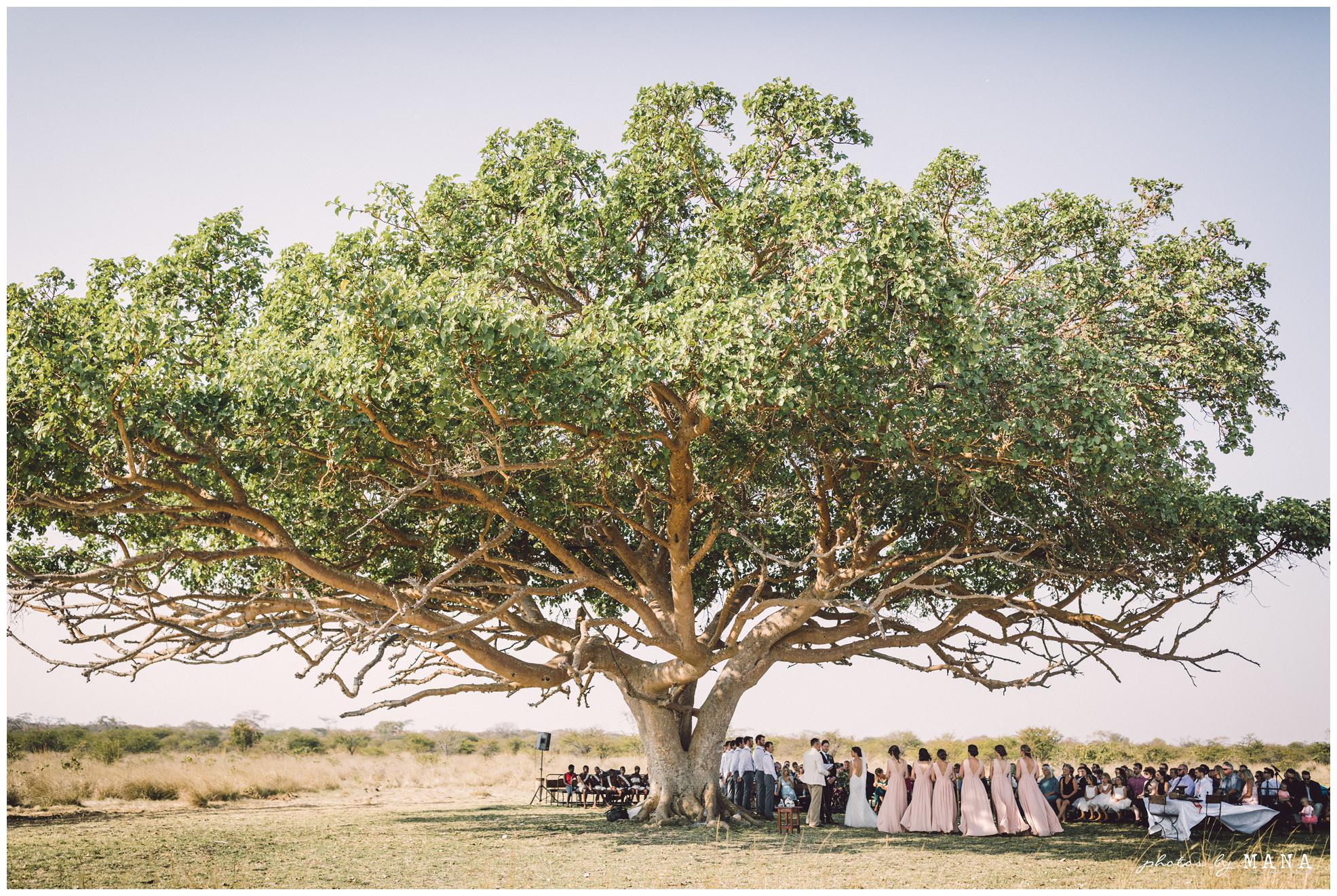 Paige and Judah’s African destination safari bush wedding at Chengeta in Zimbabwe.