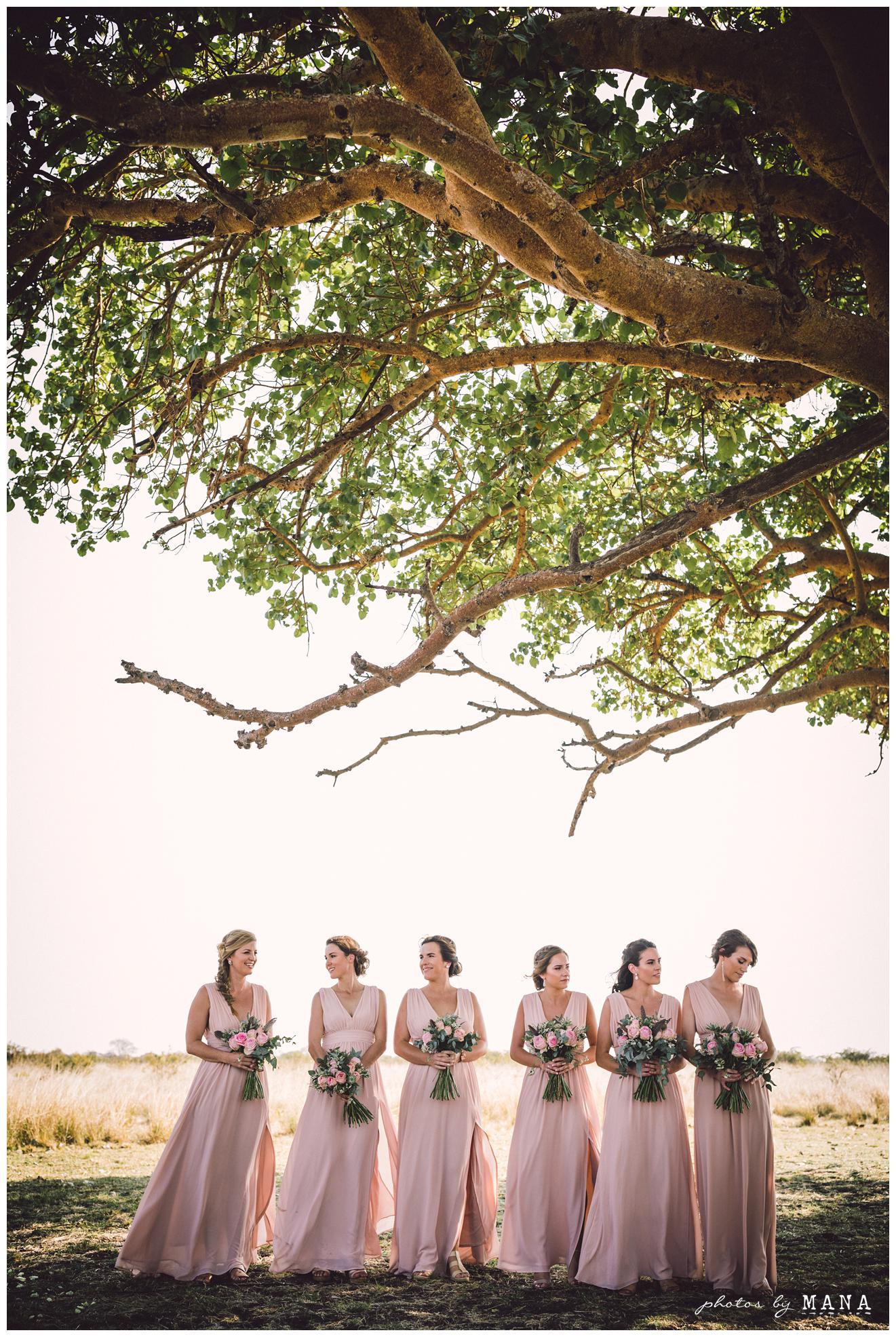 Paige and Judah’s African destination safari bush wedding at Chengeta in Zimbabwe.