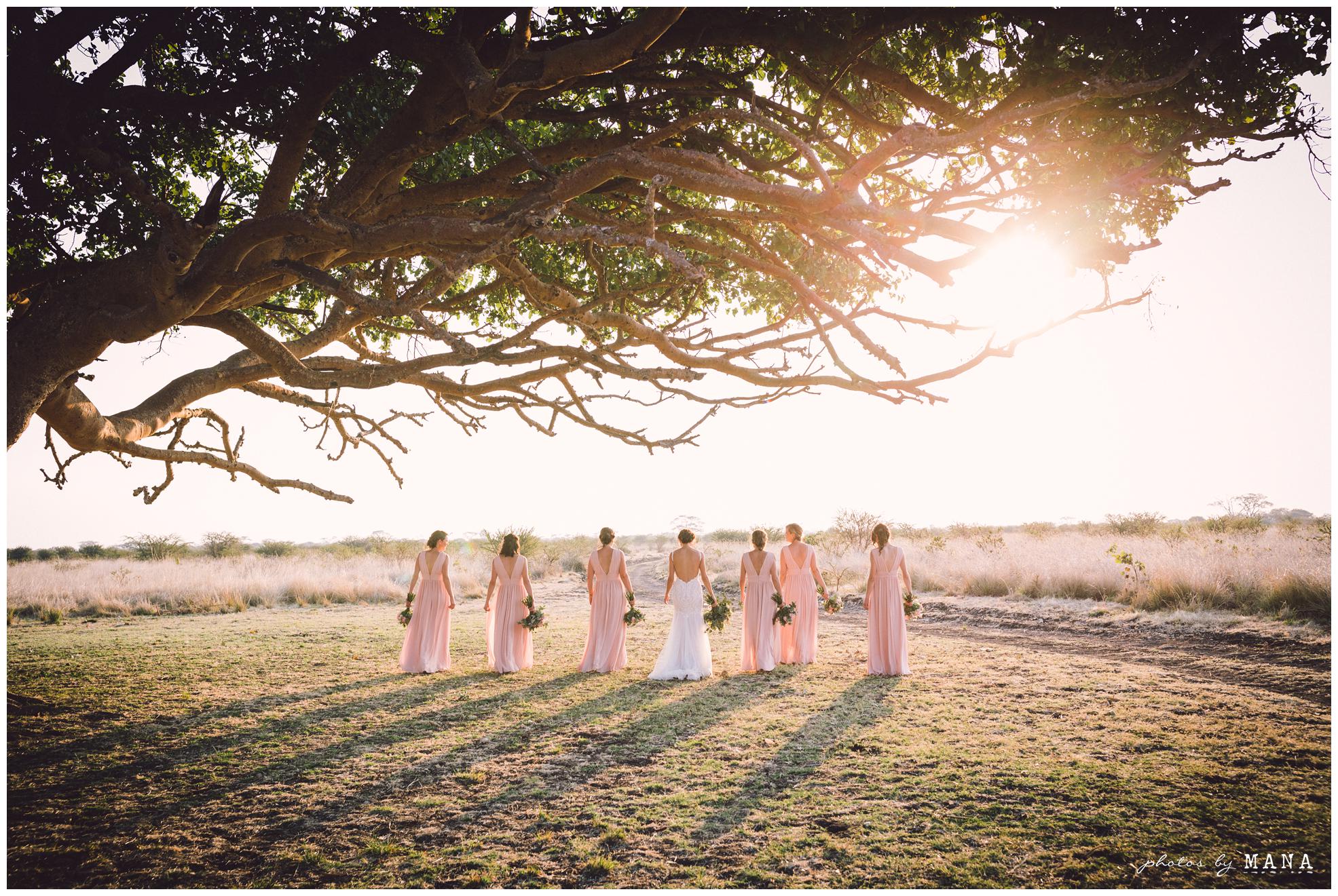 Paige and Judah’s African destination safari bush wedding at Chengeta in Zimbabwe.