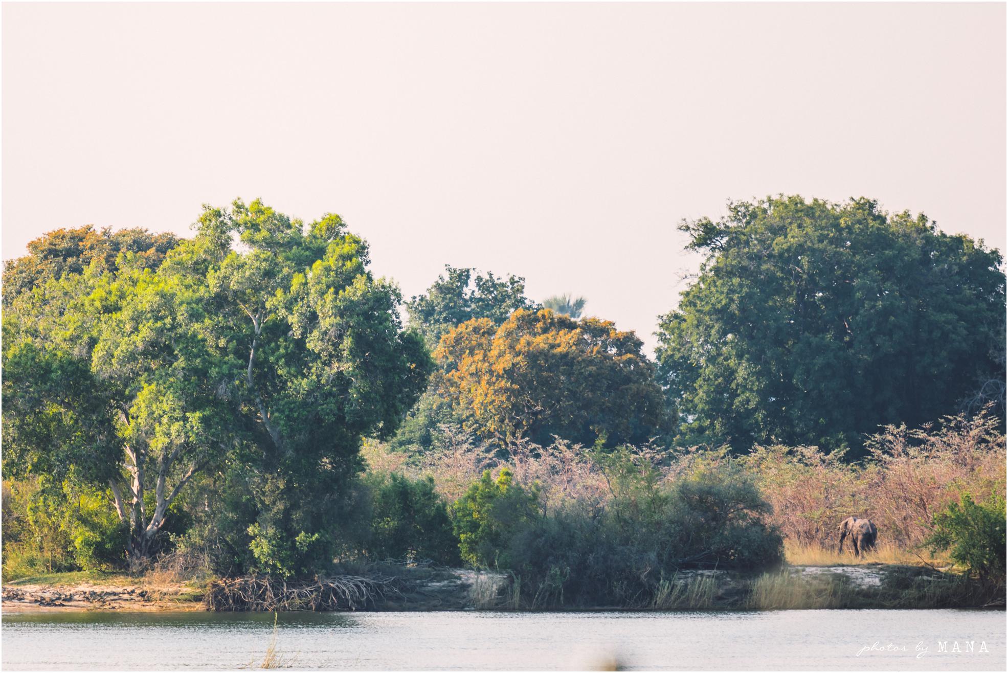 African safari wedding on the banks of the Zambezi River in Victoria Falls, Zimbabwe. Wedding planning by Vic Falls Occasions. Photography by Photos by Mana.