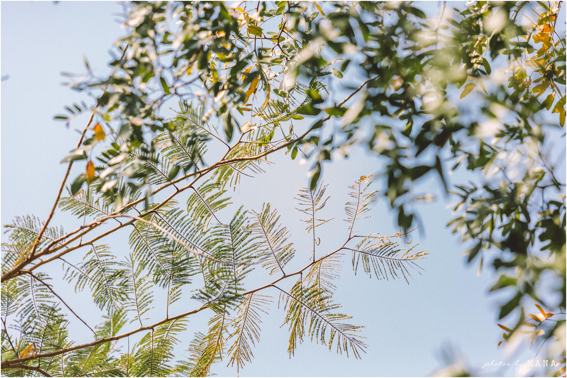 African safari wedding on the banks of the Zambezi River in Victoria Falls, Zimbabwe. Wedding planning by Vic Falls Occasions. Photography by Photos by Mana.