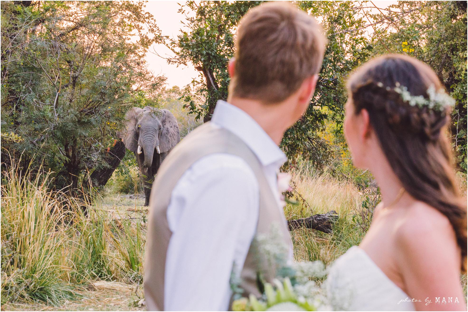 African safari wedding on the banks of the Zambezi River in Victoria Falls, Zimbabwe. Wedding planning by Vic Falls Occasions. Photography by Photos by Mana.