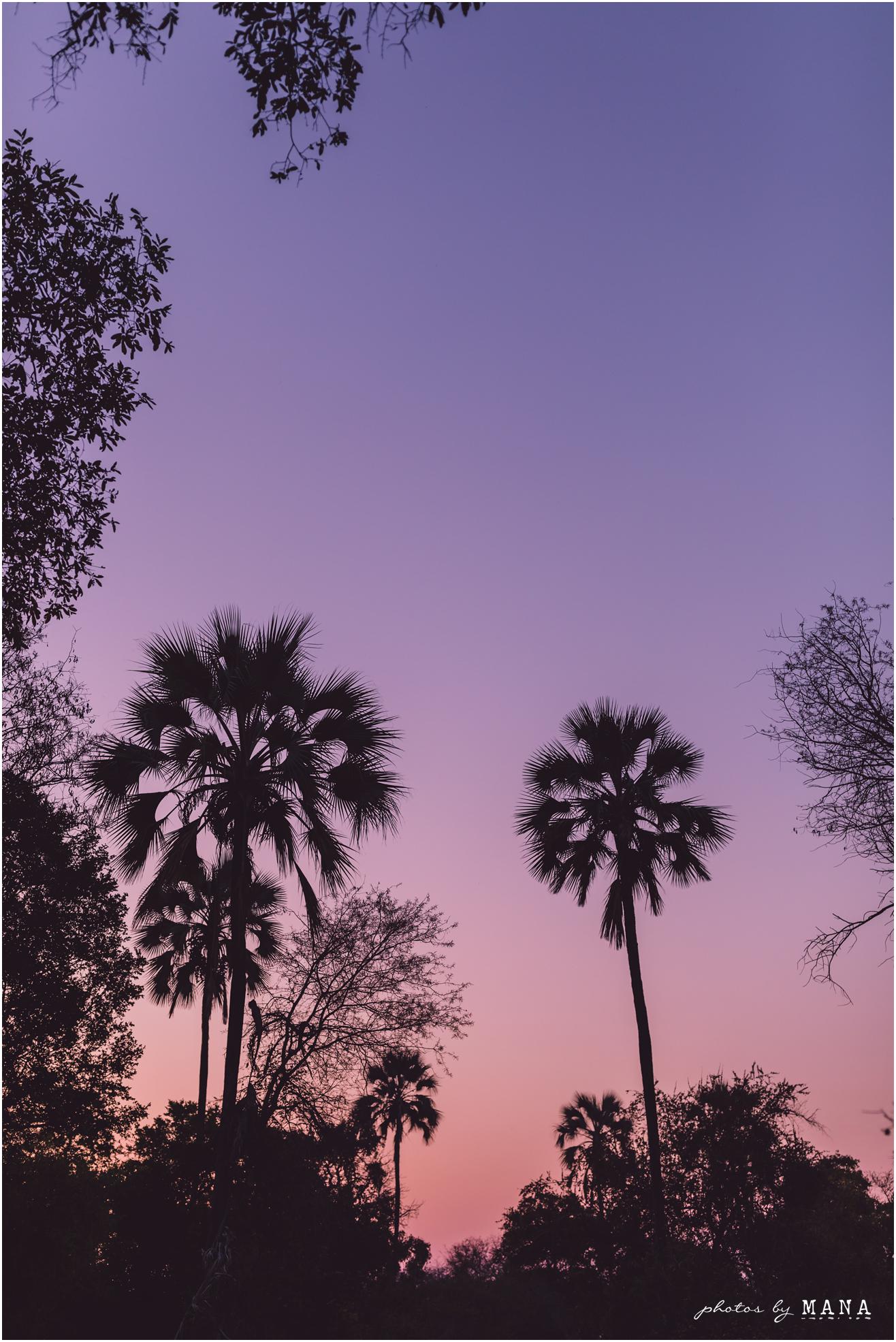 African safari wedding on the banks of the Zambezi River in Victoria Falls, Zimbabwe. Wedding planning by Vic Falls Occasions. Photography by Photos by Mana.
