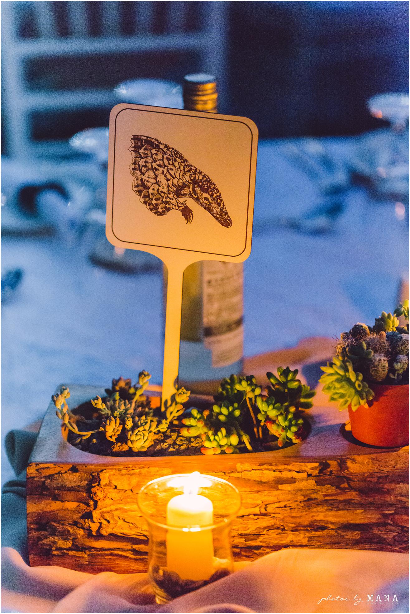 African safari wedding on the banks of the Zambezi River in Victoria Falls, Zimbabwe. Wedding planning by Vic Falls Occasions. Photography by Photos by Mana.